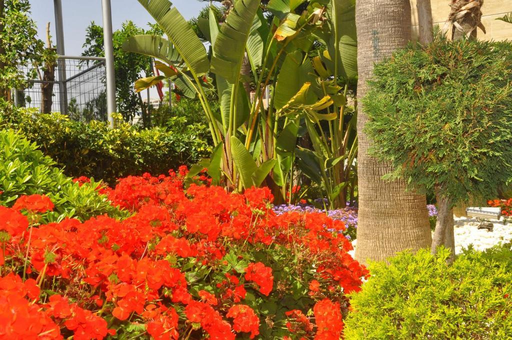 Mirador Resort & Spa Konaklı 外观 照片